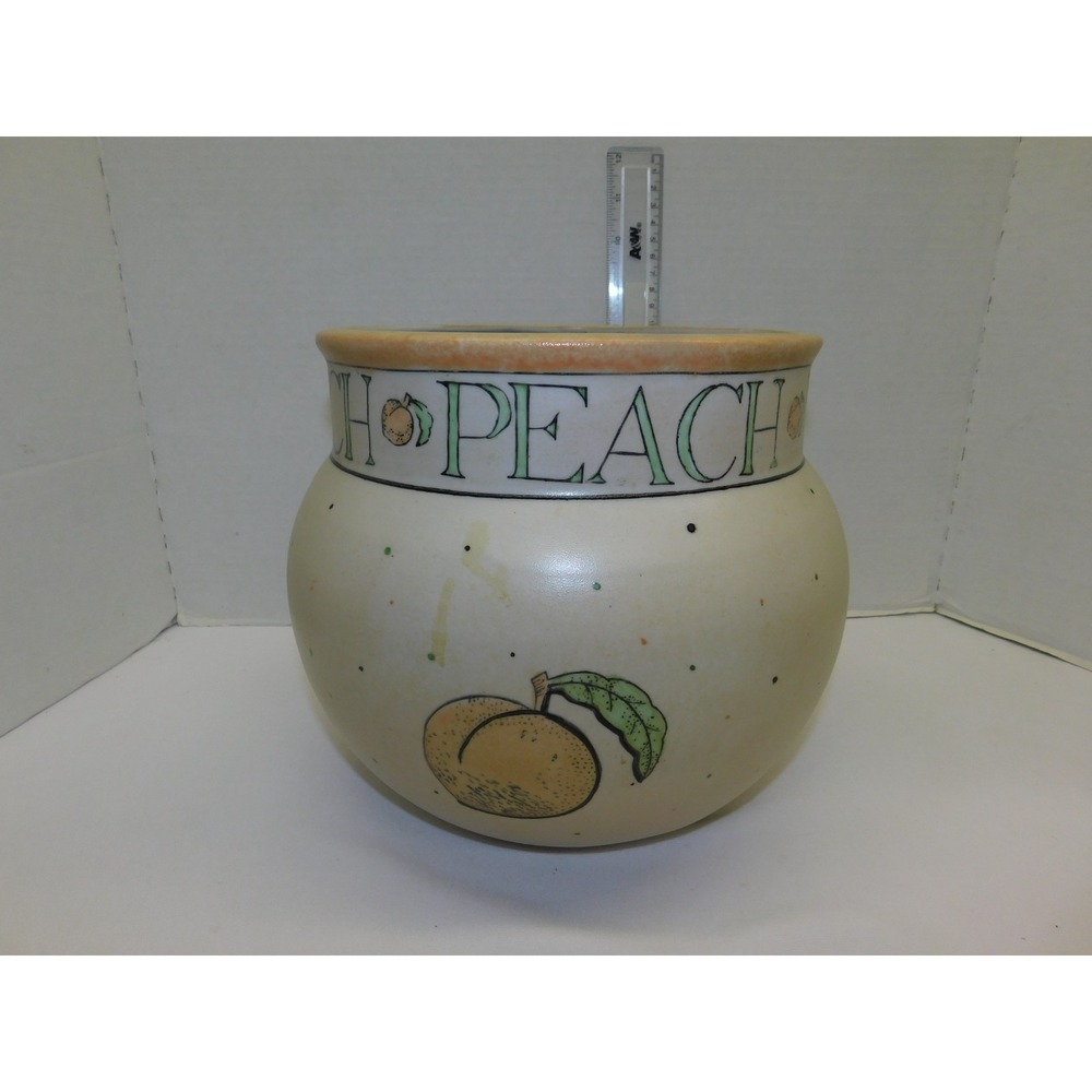 Ecco Nova Large Peach Planter 9"